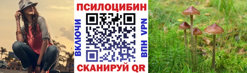 Псилоцибиновые грибы прущие грибы  Тихорецк 